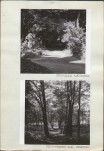 Ewidencja parkowa, skan nr 29