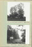 Ewidencja parkowa, skan nr 20
