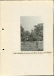 Ewidencja parkowa, skan nr 23
