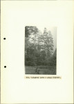 Ewidencja parkowa, skan nr 22