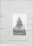 Ewidencja parkowa, skan nr 24