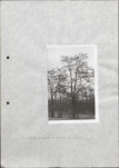 Ewidencja parkowa, skan nr 26