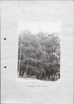 Ewidencja parkowa, skan nr 24