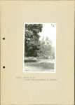 Ewidencja parkowa, skan nr 29