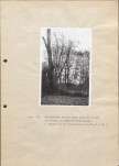 Ewidencja parkowa, skan nr 23
