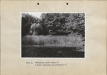 Ewidencja parkowa, skan nr 37