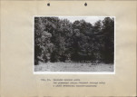 Ewidencja parkowa, skan nr 40
