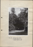 Ewidencja parkowa, skan nr 42