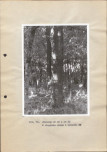 Ewidencja parkowa, skan nr 46