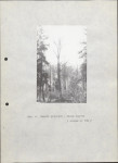 EP - Ewidencja parkowa, skan nr 34
