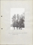 EP - Ewidencja parkowa, skan nr 35