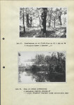 EP - Ewidencja parkowa, skan nr 39
