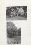 Ewidencja parkowa, skan nr 22