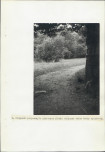 Ewidencja parkowa, skan nr 26