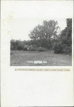 Ewidencja parkowa, skan nr 34