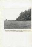 Ewidencja parkowa, skan nr 35