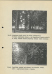 Ewidencja parkowa, skan nr 25