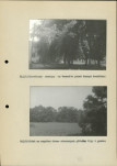 Ewidencja parkowa, skan nr 26