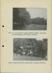 Ewidencja parkowa, skan nr 27