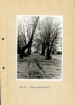 Ewidencja parkowa, skan nr 36