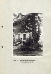 Ewidencja parkowa, skan nr 35