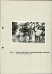Ewidencja parkowa, skan nr 38