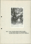 Ewidencja parkowa, skan nr 41