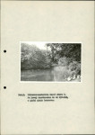 Ewidencja parkowa, skan nr 42