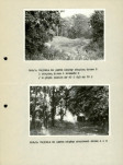 Ewidencja parkowa, skan nr 28