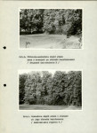 Ewidencja parkowa, skan nr 29