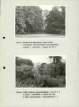Ewidencja parkowa, skan nr 30