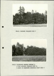 Ewidencja parkowa, skan nr 31