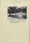 Ewidencja parkowa, skan nr 25