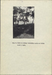 Ewidencja parkowa, skan nr 30