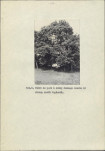 Ewidencja parkowa, skan nr 32