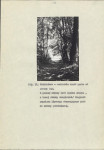 Ewidencja parkowa, skan nr 34
