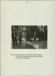 Ewidencja parkowa, skan nr 29