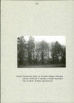 Ewidencja parkowa, skan nr 34