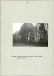 Ewidencja parkowa, skan nr 35