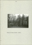 Ewidencja parkowa, skan nr 36