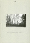 Ewidencja parkowa, skan nr 38