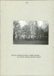 Ewidencja parkowa, skan nr 39