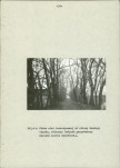 Ewidencja parkowa, skan nr 40