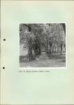Ewidencja parkowa, skan nr 41