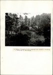 EP - Ewidencja parkowa, skan nr 28