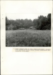 EP - Ewidencja parkowa, skan nr 29