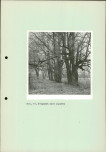 Ewidencja parkowa, skan nr 36