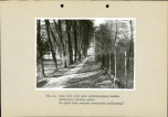 Ewidencja parkowa, skan nr 38