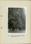 Ewidencja parkowa, skan nr 30