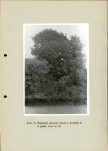 Ewidencja parkowa, skan nr 35